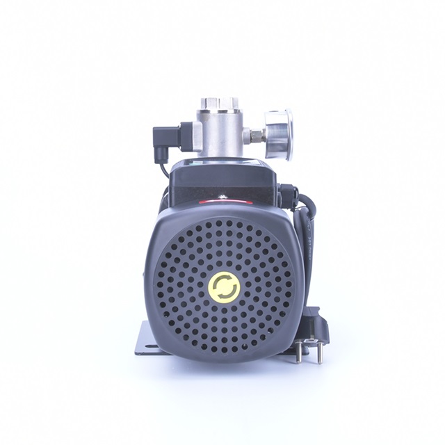 Bomba de Frecuencia Variable con Motor de Imán Permanente Serie VFG